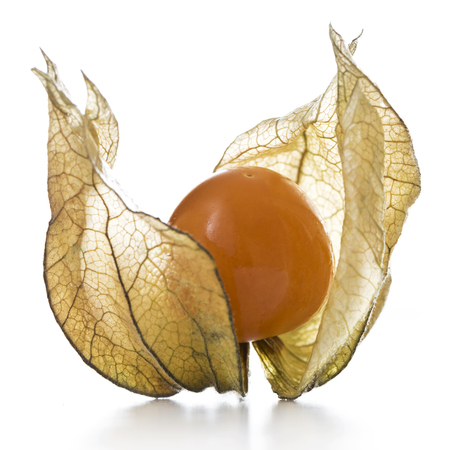 Physalis fruit with papery husk on a white background.の写真素材