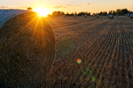 A straw pack in a field and the sunset sky in summertimeの写真素材