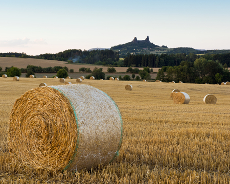 The summer landscape with straw bales in a field and Trosky Castle, Czech Republicの写真素材