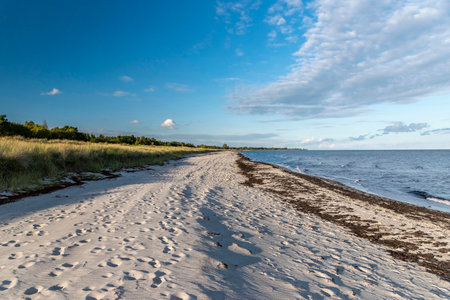 Autumn landscape with sea, sand and grass, Denmarkの写真素材