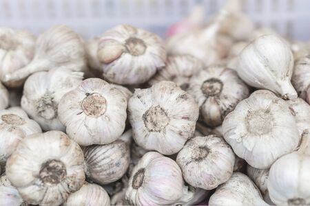 White garlic pile texture. Fresh garlic on market table closeup photo. Selective focus.