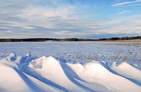 Landscape of snow drifting at edge of field with pastel skyの写真素材