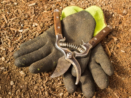 Gardening clippers and gloves against brown earth backgroundの写真素材