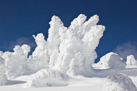 Trees completely covered in snow with blue sky and clouds in backgroundの写真素材