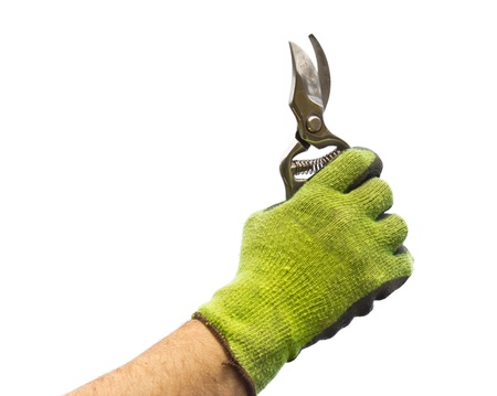 Gardening Clippers Held Against Blue Sky