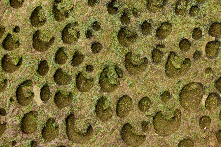 Tafone Rock formation on coastal BC beachの写真素材