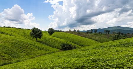 blue sky and green hills XP classicの写真素材