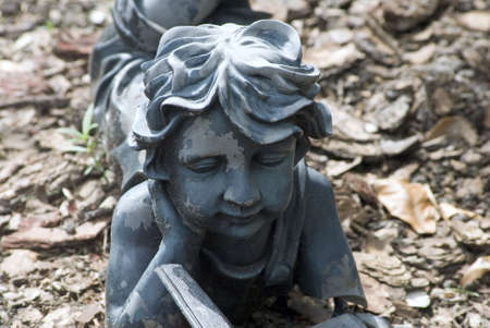 Boy & a Book IIの写真素材