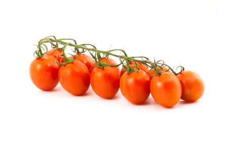 red cherry tomatoes on a branch on a white backgroundの写真素材
