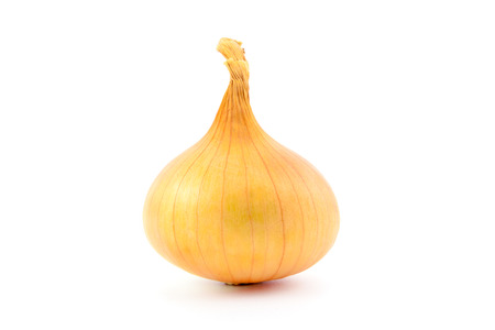 one onion bulb on a white backgroundの写真素材