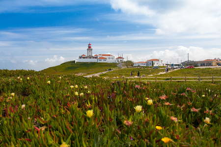Cabo da Roca, lighthouse, flowers,の写真素材
