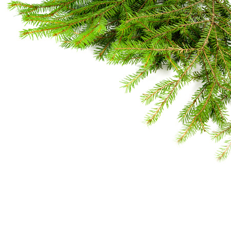 Xmas tree with toys on a white backgroundの写真素材