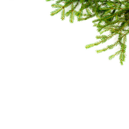 Xmas tree with toys on a white backgroundの写真素材