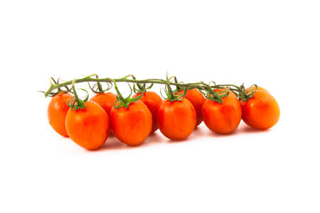 red cherry tomatoes on a branch on a white backgroundの写真素材
