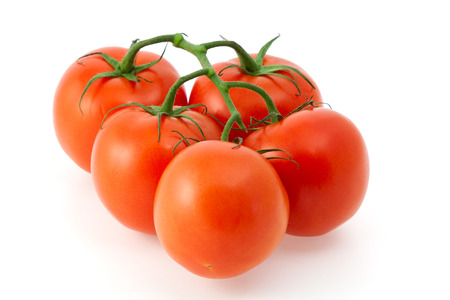 Red tomatoes on a branch on white backgroundの写真素材