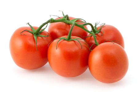 Red tomatoes on a branch on white backgroundの写真素材