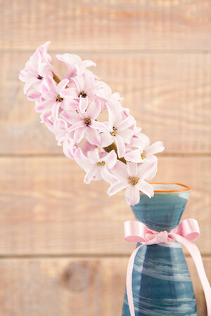 Pink hyacinth in vase with ribbon on the background planksの写真素材