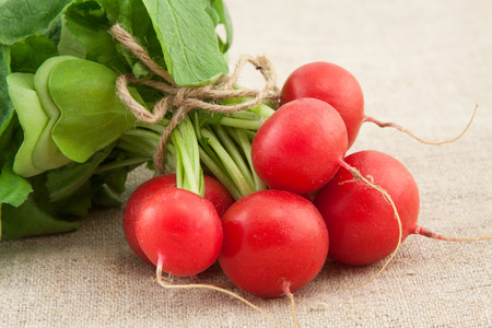 bunch of fresh organic red radishの写真素材