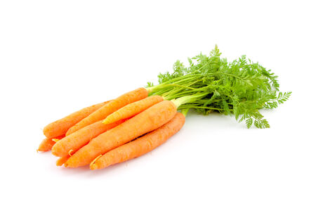 Fresh organic carrots with their tops on white backgroundの写真素材