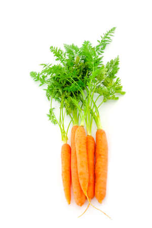 Fresh organic carrots with their tops on white backgroundの写真素材