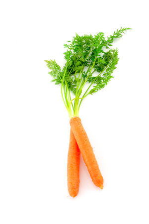 Fresh organic carrots with their tops on white backgroundの写真素材