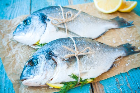 two raw dorad fishes with lemon,  and dill on a rustic backgroundの写真素材