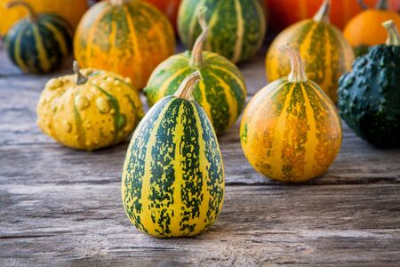 ripe organic colored pumpkins on an old wooden table