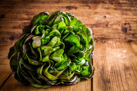 fresh green organic lettuce on a wooden rustic backgroundの写真素材