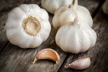 Organic garlics with cloves close up on a wooden rustic tableの写真素材
