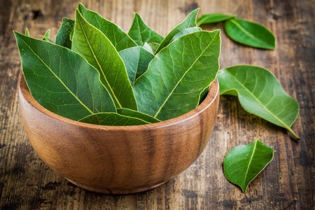 Fresh bay leaves in a wooden bowl on a rustic wooden background Fresh bay leaves in a wooden bowl on a rustic wooden background