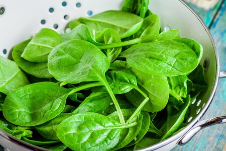 raw fresh spinach in a white colander closeup on a rustic wooden tableの写真素材