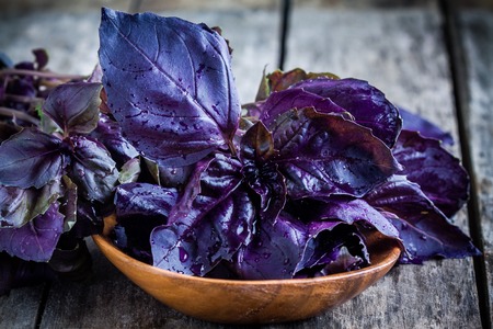 beam of purple basil in the bowl on the rustic wooden tableの写真素材