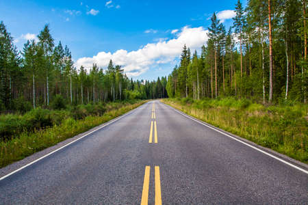 Road through the forest in rural Finlandの写真素材