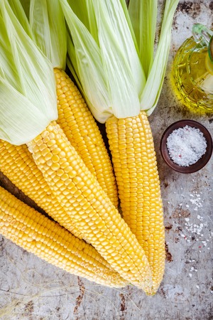 fresh raw organic sweet corn cobs on rustic backgroundの写真素材