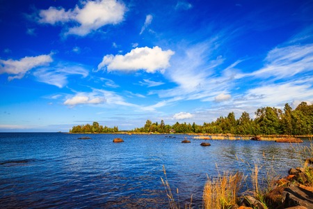 Lake landscape at summer  in rural Finlandの写真素材