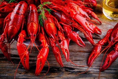 Boiled crayfish with dill and beer on wooden background