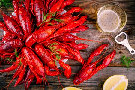 Boiled crayfish with dill and beer on wooden backgroundの写真素材