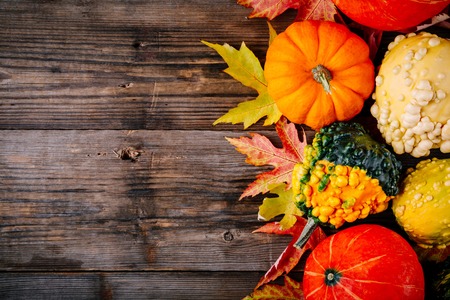 Colorful pumpkins and fall leaves on wooden background for Halloween and Thanksgiving day. Top viewの写真素材