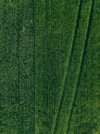 Farmland from above - aerial view of a lush green filed in summer in rural Finlandの写真素材