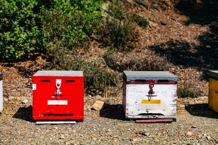 White and red wooden bee hives close-up in summertime in Greeceの写真素材