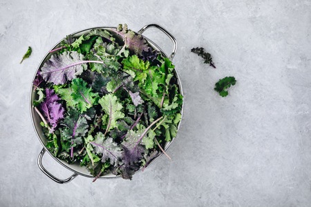 Green baby kale leaves in white colander on gray stone background. Ingredient for healthy vegetarian or vegan smoothie, salads or pesto sauceの写真素材