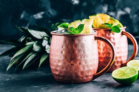 Refreshing Iced Cold Moscow Mule cocktail with lime and pineapple on dark backgroundの写真素材