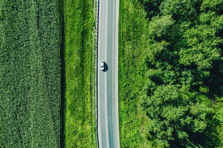 Aerial top view of a asphalt road with a car through 
green forest and corn field in summerの写真素材