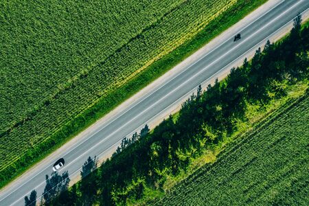 Aerial top view of a rural asphalt road through a green corn field in summer