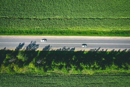 Aerial top view of a rural asphalt road through a green corn field in summerの写真素材