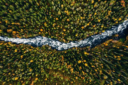 Aerial view of fast river flow through the rocks and colorful forest. Autumn in Finland, Oulanka national park.の写真素材