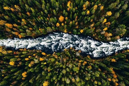 Aerial view of fast river flow through the rocks and colorful forest. Autumn in Finland, Oulanka national park.の写真素材