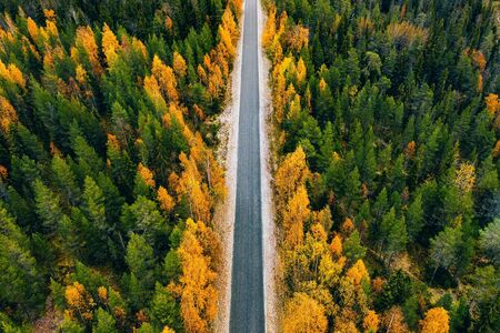 Aerial view of rural road in yellow and orange autumn forest in rural Finland.の写真素材