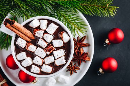 Ginger Cinnamon Hot Chocolate with marshmallows for Christmas Holidays.の写真素材