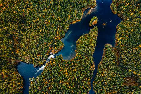 Aerial view of blue rivers and lakes in beautiful orange and red autumn forest. Oulanka National...